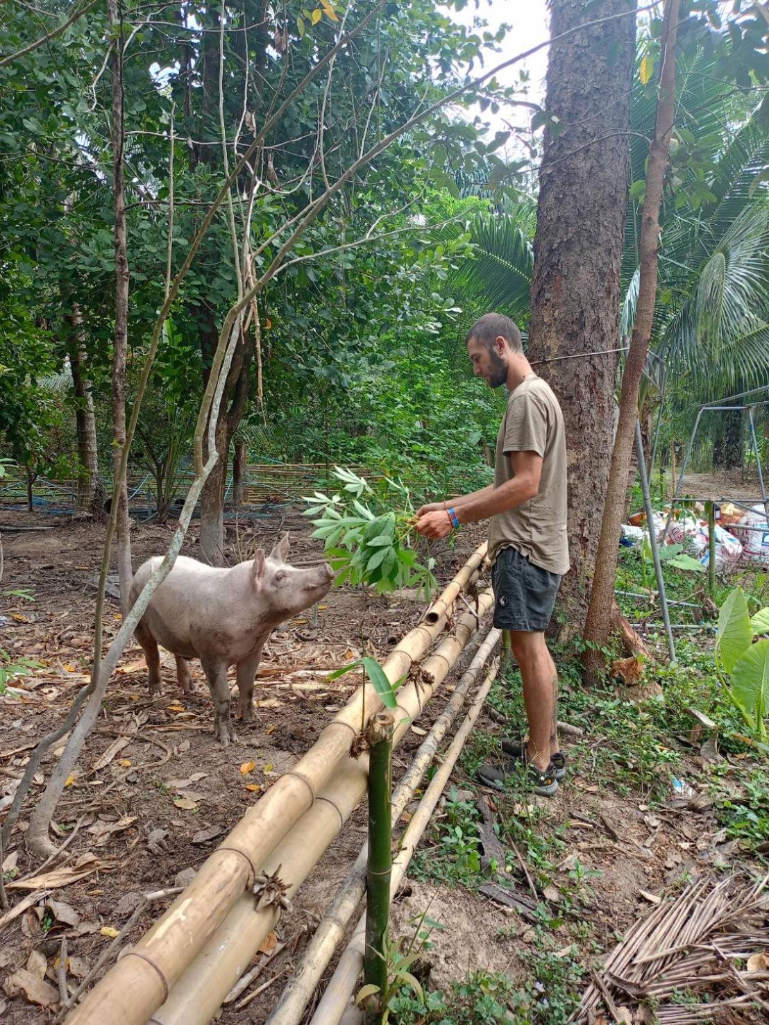 Green Garden Homestay Ban Khlong Wa 外观 照片